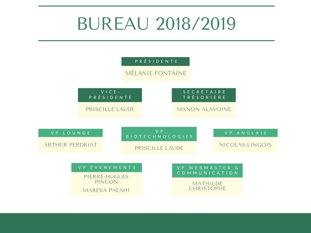 Bureau-2018_2019